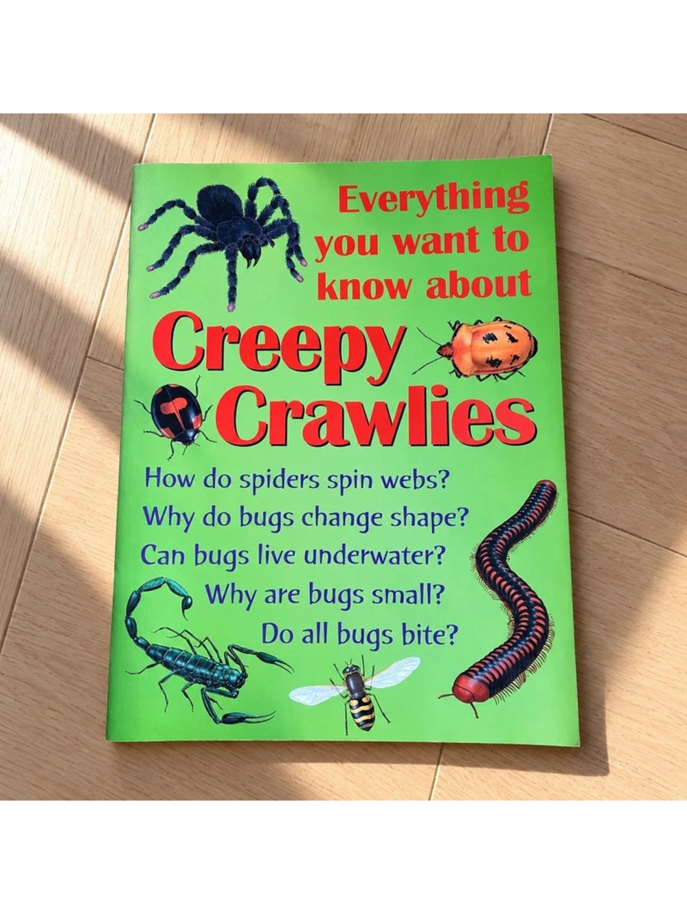 Creepy Crawlies Wendy Madgwick 2001 Kids Bugs Spiders Insects Science Book